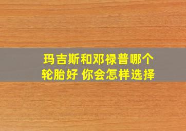 玛吉斯和邓禄普哪个轮胎好 你会怎样选择